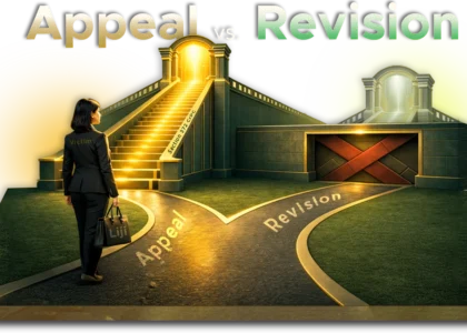 Why-Revision-is-Not-a-Remedy-Against-Acquittals-in-NI-Act-Complaints